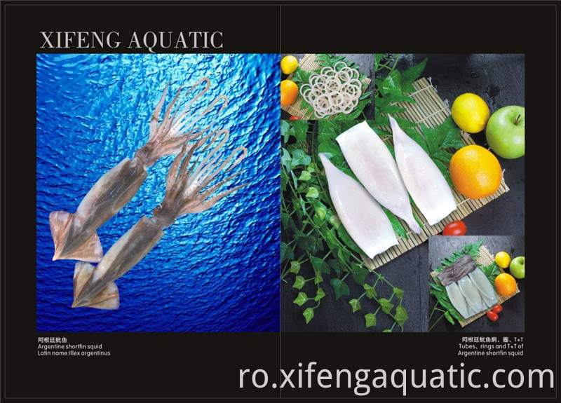 Illex Squid Illex Squid